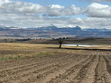 Peter Maskell Auctions - Insolvency Sale by Tender Of Farmland In Bergville, Kwazulu Natal